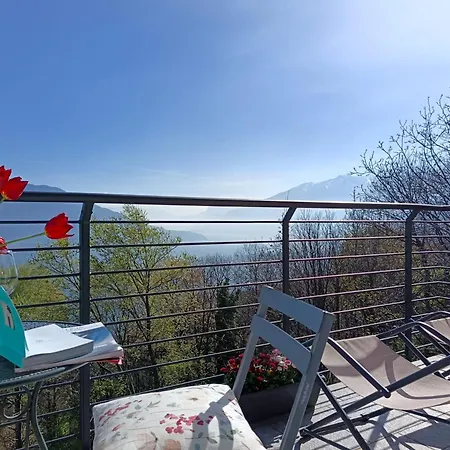 Tenuta Il Sogno Nero